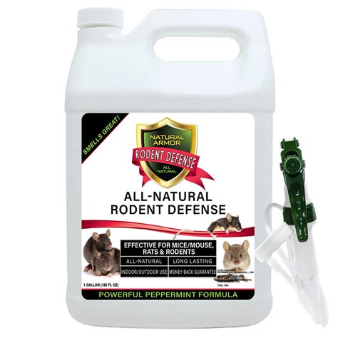 Vermin Spell Repellent: A Natural Way to Repel Spiders and Scorpions